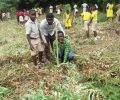 World Bamboo Day themed “Beyond Planting Bamboo: Restoring Land, Protecting Lake Bosomtwe and Creating Livelihoods” at Duase in the Bosome Freho District.